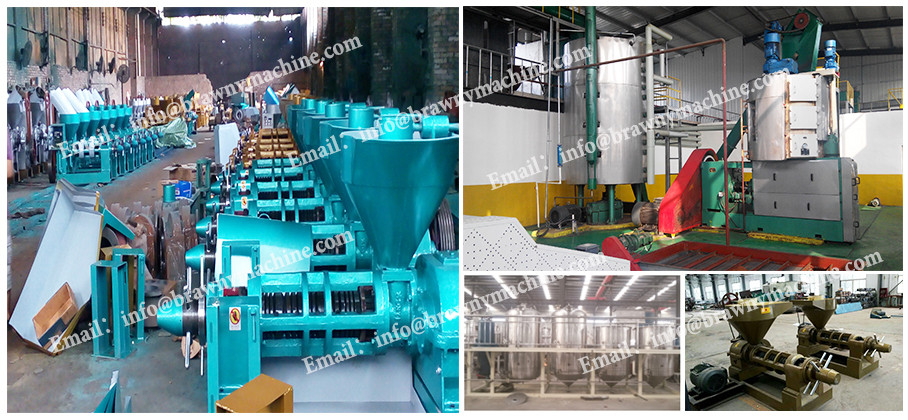 Best price of sunflower vegetable oil making machine with best quality and low price