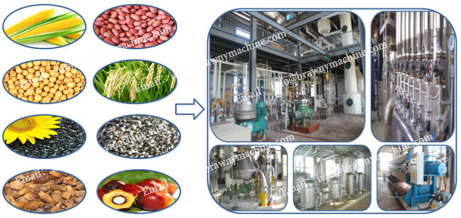 made in China small investment crude castor seed oil production line