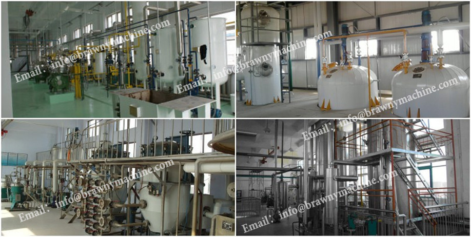 New product 2016 automatic sunflower groundnut oil extraction machine