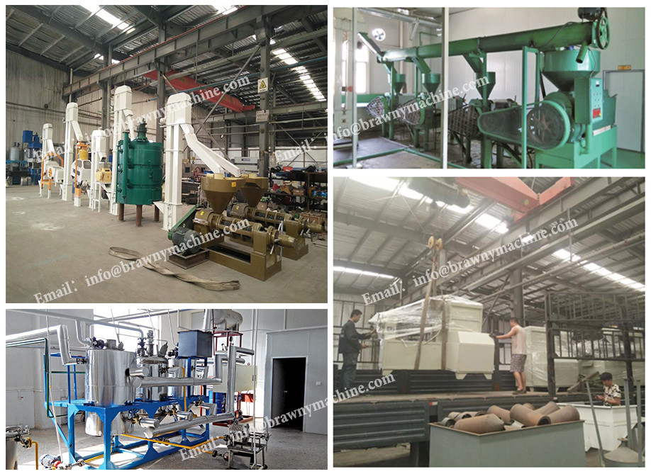 Grape Seed Soybean Extraction Rice Bran Oil Extruder Press Making Machine In India Frankincense Coconut Oil Expeller Machine
