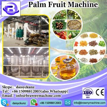 Small Scale Palm Oil Mill Plant /Palm Fruit Oil Press