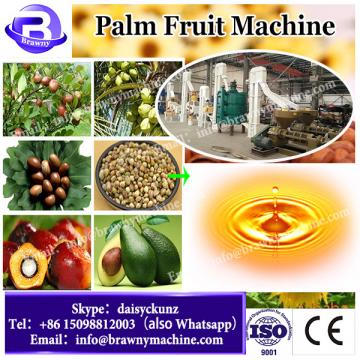 Sale 1TPH FFB small scale palm oil production line / palm oil mill plant