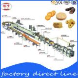 Export milk biscuit forming machine/customize Biscuit Production Line/Biscuit Machine