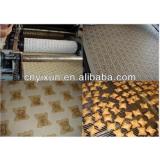 small size biscuit big capacity production line