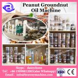 China New Technology Groundnut Oil Cold Press Machine